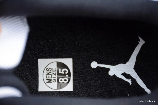  11 528895-153 Low Retro Concord 528895-153 Jordan 0725
